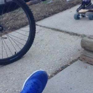 Meet your Posher, Teddy